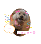 ペロちゃんとゆかいな毎日♡（個別スタンプ：17）