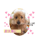 ペロちゃんとゆかいな毎日♡（個別スタンプ：22）