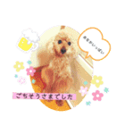 ペロちゃんとゆかいな毎日♡（個別スタンプ：23）