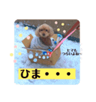 ペロちゃんとゆかいな毎日♡（個別スタンプ：28）