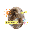 ペロちゃんとゆかいな毎日♡（個別スタンプ：30）