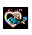 ほいほいくん（個別スタンプ：1）