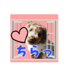 ほいほいくん（個別スタンプ：5）