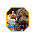 ほいほいくん（個別スタンプ：8）