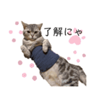 ぽっちゃりネコのふぅーちゃん（個別スタンプ：6）
