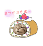 ぽっちゃりネコのふぅーちゃん（個別スタンプ：8）