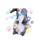 小福です♥（個別スタンプ：1）
