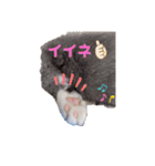 小福です♥（個別スタンプ：2）