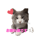 小福です♥（個別スタンプ：3）