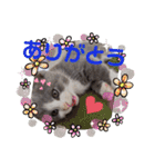 小福です♥（個別スタンプ：10）