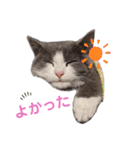 小福です♥（個別スタンプ：15）