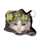 小福です♥（個別スタンプ：16）