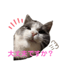 小福です♥（個別スタンプ：22）