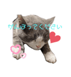 小福です♥（個別スタンプ：23）