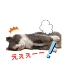 小福です♥（個別スタンプ：31）