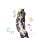 小福です♥（個別スタンプ：32）