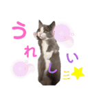 小福です♥（個別スタンプ：35）