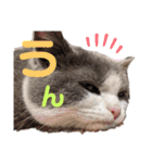 小福です♥（個別スタンプ：39）