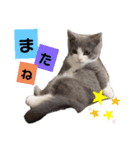 小福です♥（個別スタンプ：40）