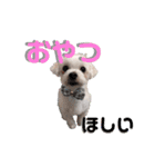マフのマフマフ（個別スタンプ：4）