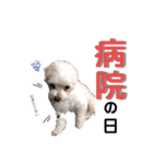 マフのマフマフ（個別スタンプ：5）