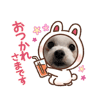 マフのマフマフ（個別スタンプ：17）