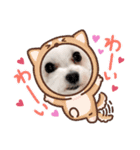 マフのマフマフ（個別スタンプ：19）
