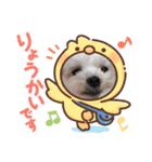 マフのマフマフ（個別スタンプ：21）