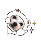 マフのマフマフ（個別スタンプ：22）