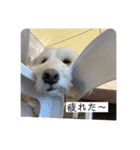 ここたの日常2（個別スタンプ：5）