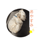 ここたの日常2（個別スタンプ：8）