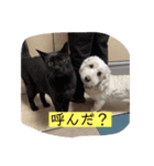ここたの日常2（個別スタンプ：13）