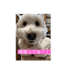 ここたの日常2（個別スタンプ：14）