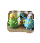 インコand恐竜スタンプ（個別スタンプ：4）