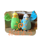 インコand恐竜スタンプ（個別スタンプ：5）