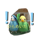 インコand恐竜スタンプ（個別スタンプ：9）
