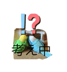 インコand恐竜スタンプ（個別スタンプ：12）