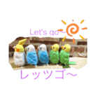 インコand恐竜スタンプ（個別スタンプ：18）