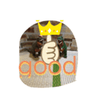 インコand恐竜スタンプ（個別スタンプ：28）