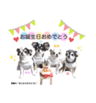 美海♡空♡葵♡愛夢♡星輝♡スタンプ（個別スタンプ：1）