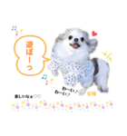 美海♡空♡葵♡愛夢♡星輝♡スタンプ（個別スタンプ：4）