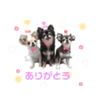 美海♡空♡葵♡愛夢♡星輝♡スタンプ（個別スタンプ：6）