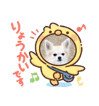 プードルとちわわの仲良しスタンプ（個別スタンプ：12）
