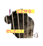チンチラのらぶり❤︎第2弾❤︎（個別スタンプ：1）