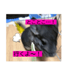 チンチラのらぶり❤︎第2弾❤︎（個別スタンプ：8）