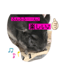 チンチラのらぶり❤︎第2弾❤︎（個別スタンプ：10）