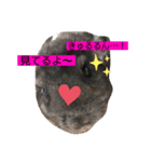 チンチラのらぶり❤︎第2弾❤︎（個別スタンプ：11）