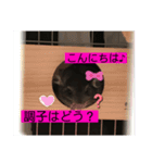 チンチラのらぶり❤︎第2弾❤︎（個別スタンプ：12）