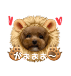 可愛いわんぷー（個別スタンプ：3）