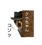 チワワのクゥちゃん1（個別スタンプ：8）